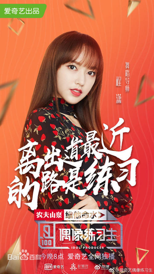 多特蒙德国际管理学院 Design degree certificate